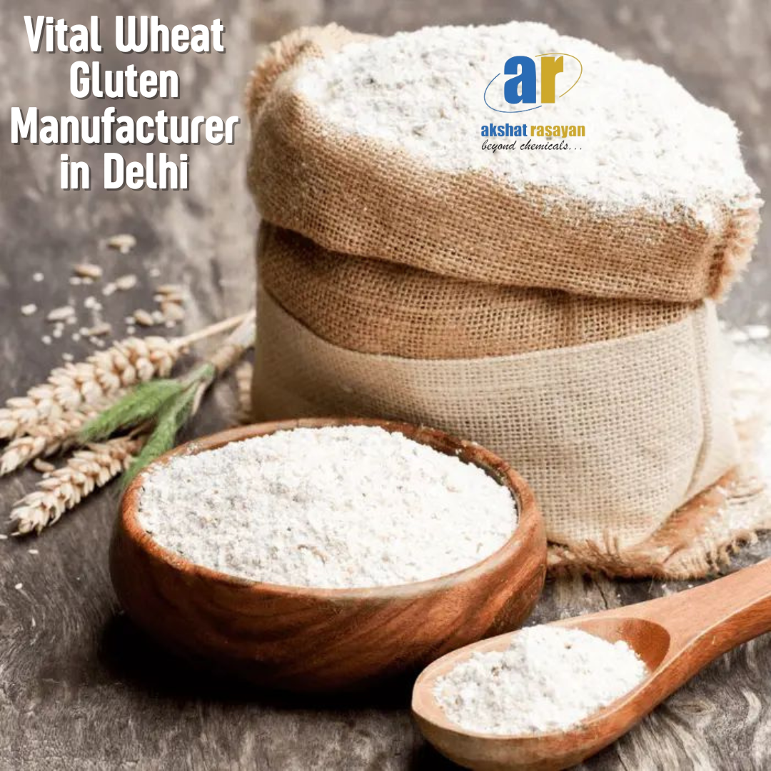 Vital Wheat Gluten Manufacturer in Delhi: Quality, Purity, and Reliability