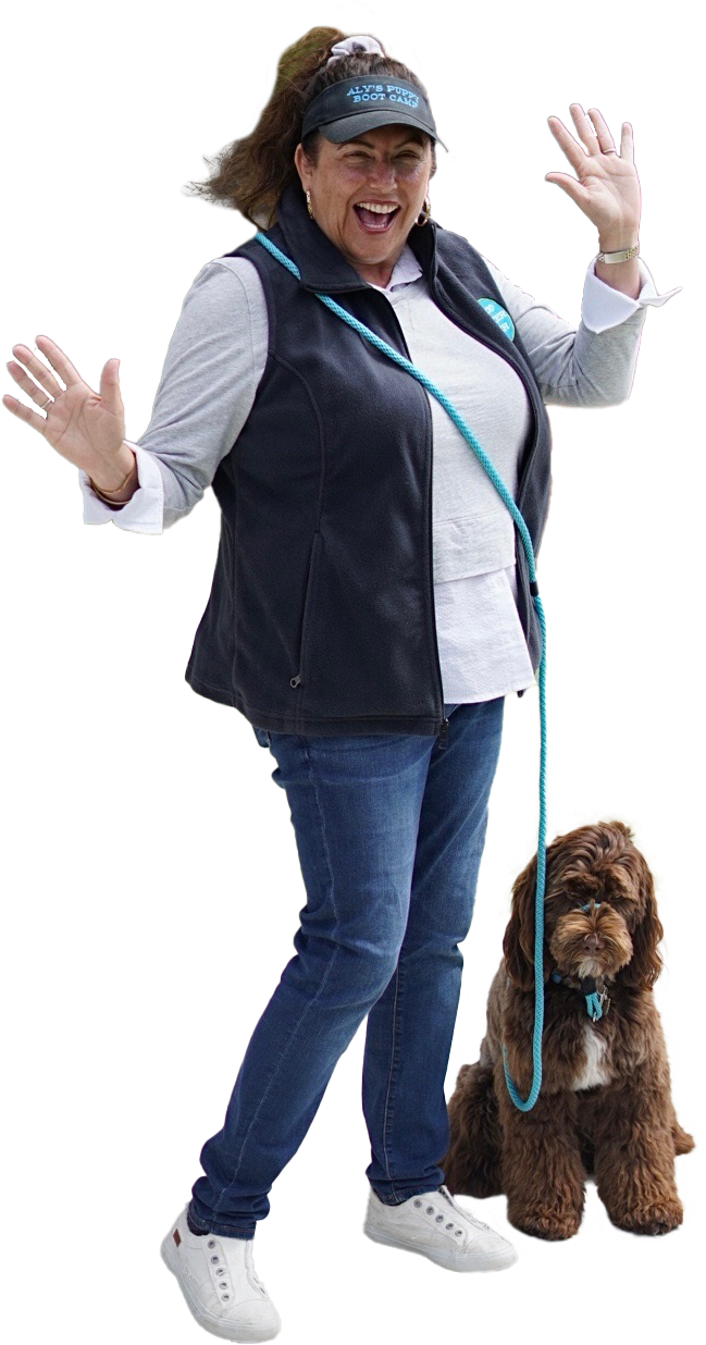 The New Way to Walk: Your Modern Lifestyle with Good Walker Hands-free Leash