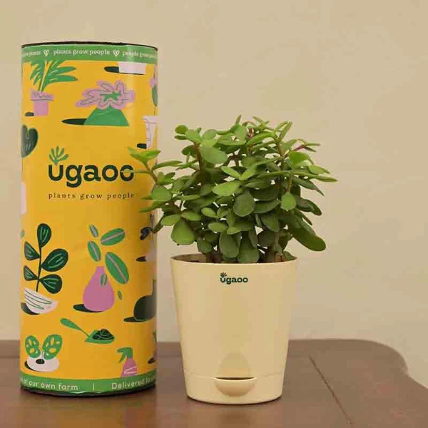 10 Thoughtful Gifting Ideas For Working Women On International Women's Day