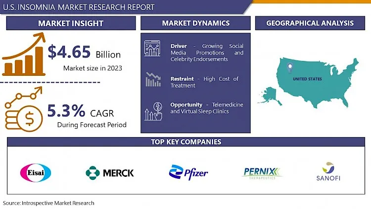 U.S. Insomnia Market: Next Big Thing By 2032| Pernix Therapeutics, Viatris