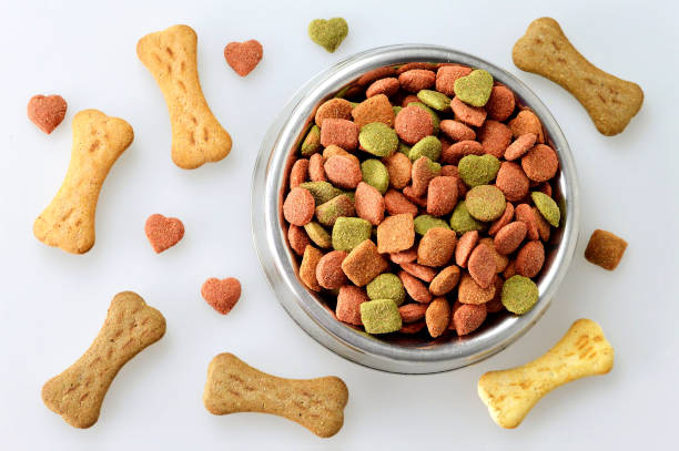 Darling Ingredients Inc.: Strategic Innovations in the Russia Pet Food Ingredients Market