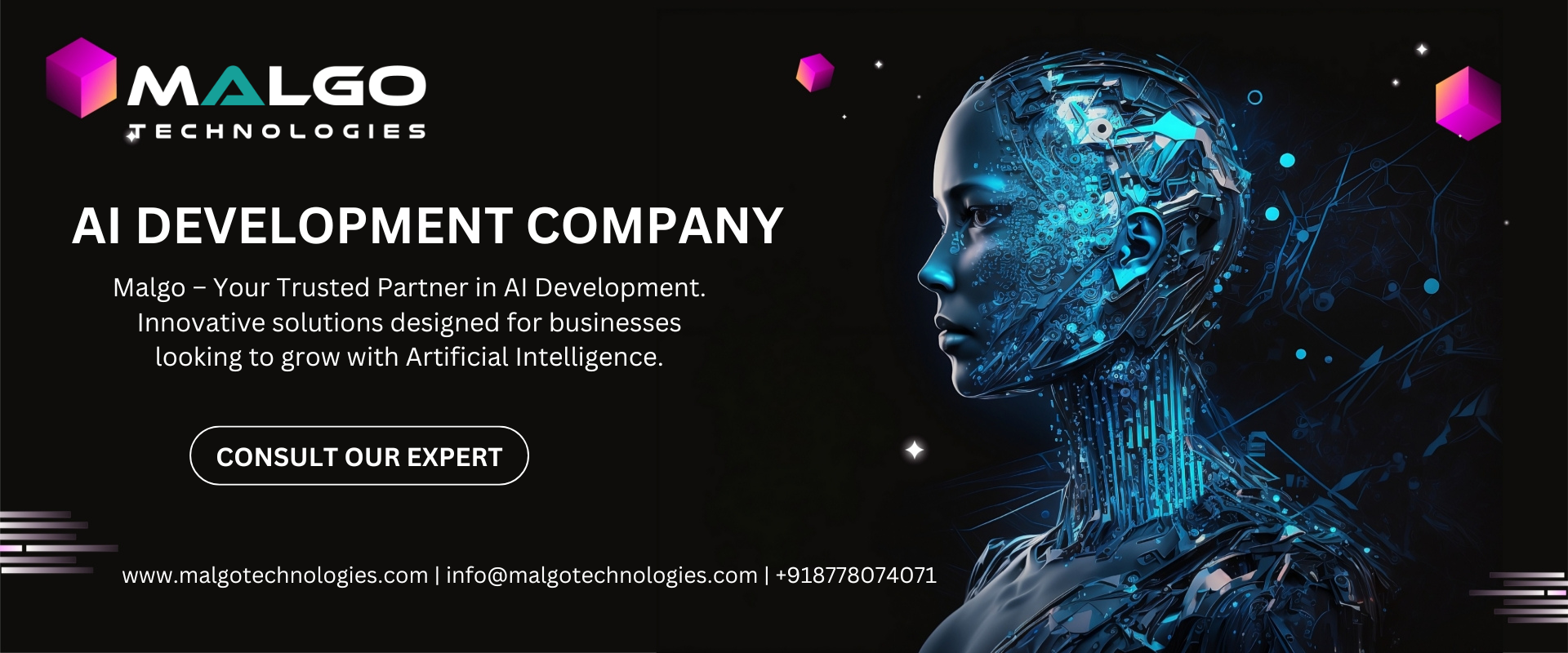 Top AI Development Company in India: Why Malgo Stands Out in 2025