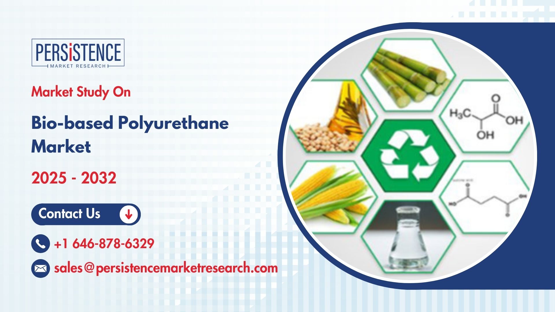 Bio-based Polyurethane Market Investment Opportunities and Future Potential
