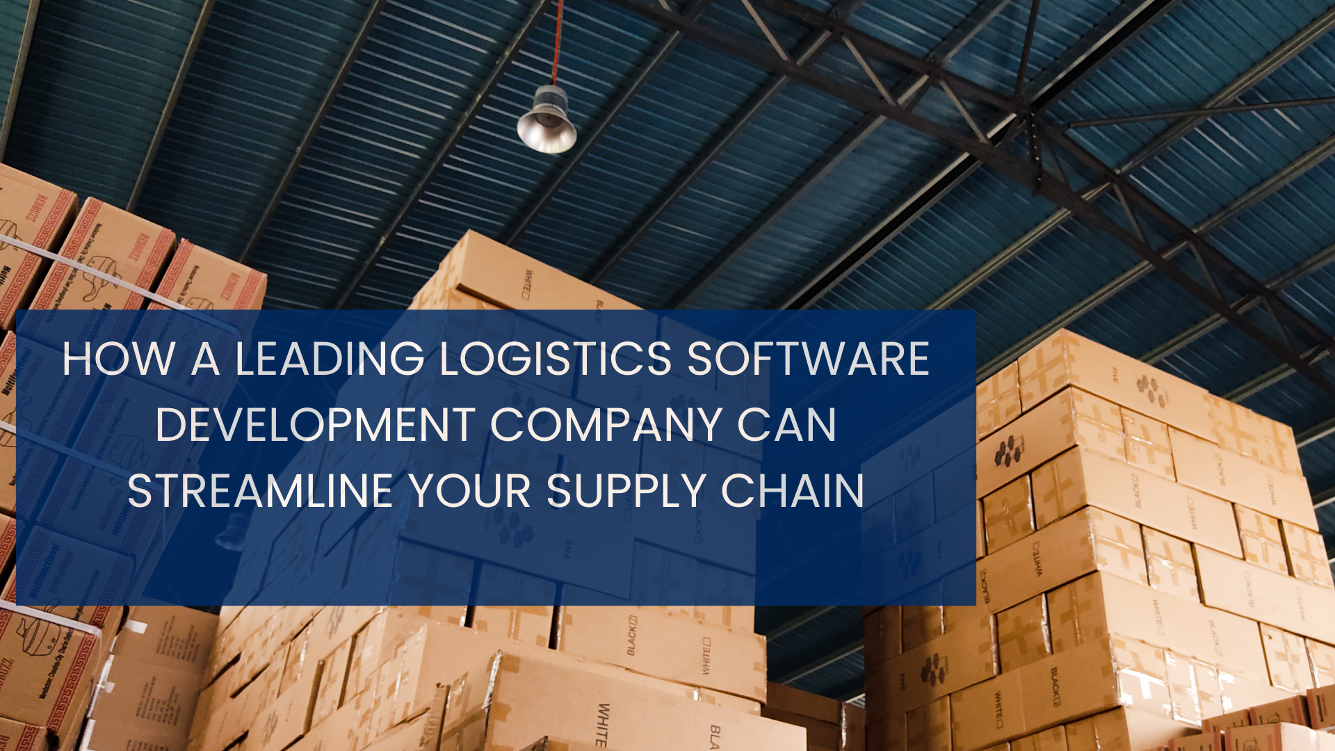 How a Leading Logistics Software Development Company Can Streamline Your Supply Chain