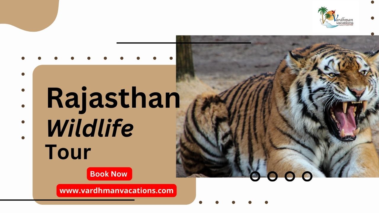 Untamed Rajasthan: A Wildlife Tour Like No Other