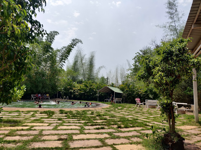 How Do Dandeli Resort Packages Compare to Other Jungle Getaways?