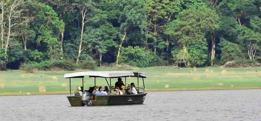 Kabini River Safari: A Thrilling Wildlife Experience