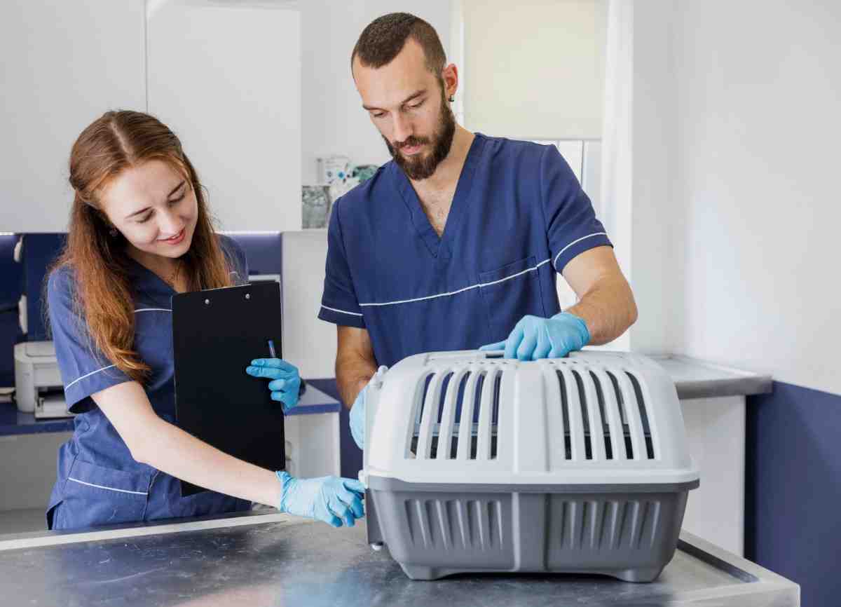 How to Build the Perfect Air Duct Cleaning Equipment Set
