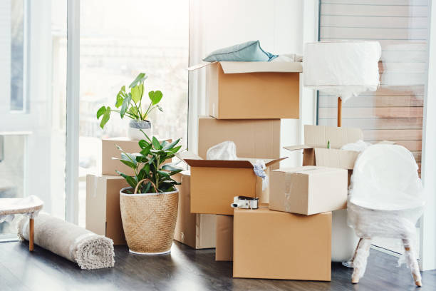 Time Saving Packing Strategies for a Smooth Relocation in Sydney