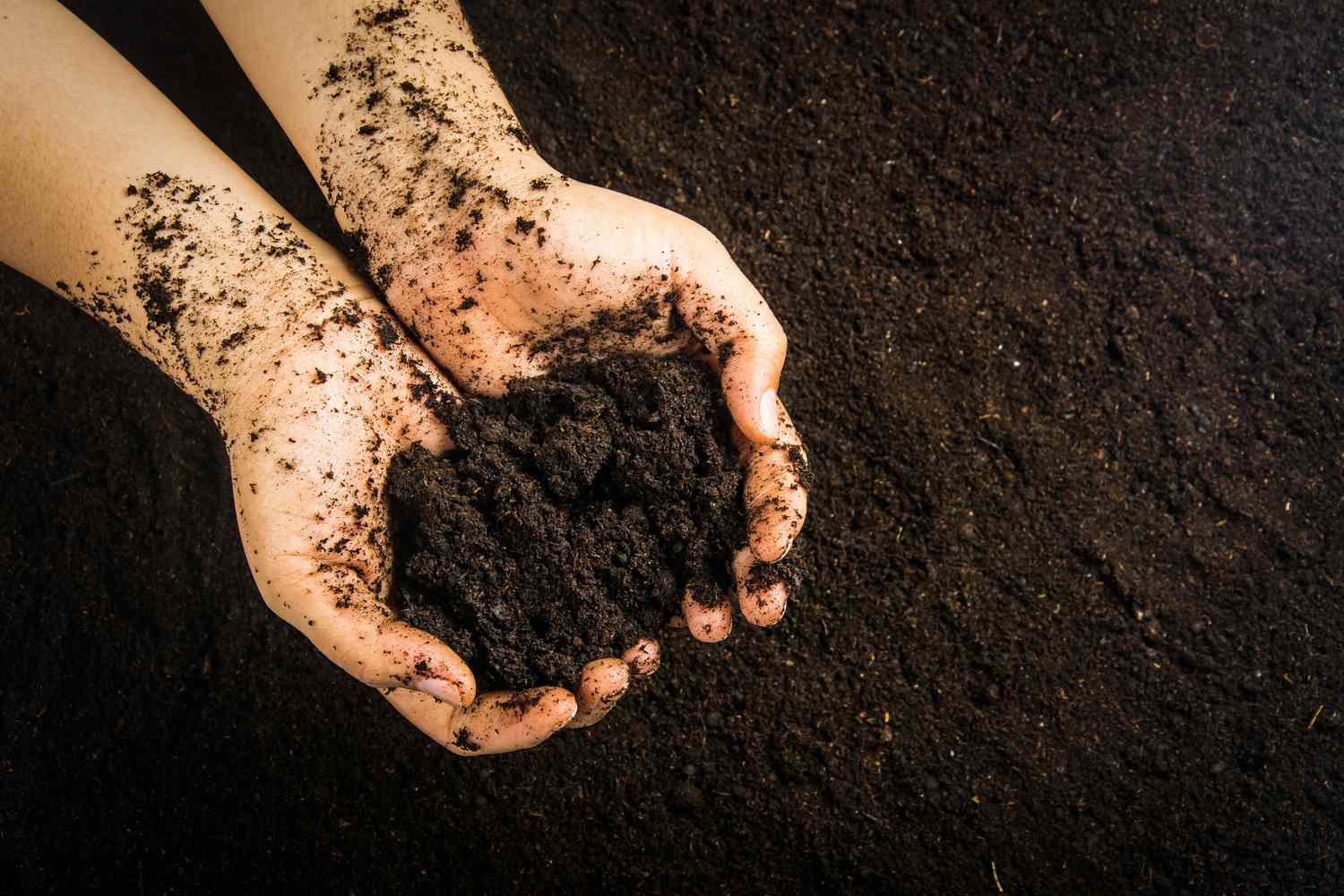 Is Too Much Hummus Bad for Soil?
