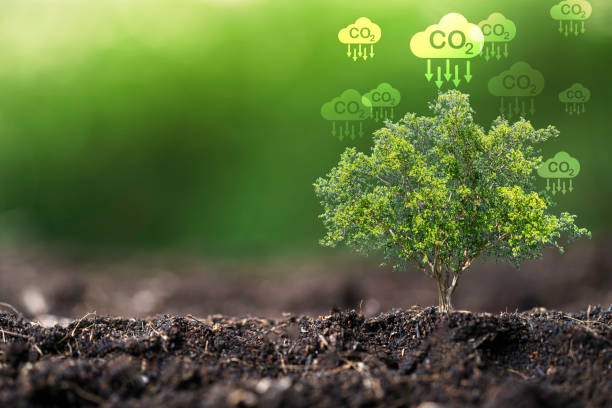 Fluor Corporation: Pioneering Carbon Capture, Utilization, and Storage Innovations