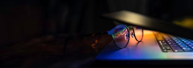 India Software Market Trends, Growth & Demand Forecast 2024-2032