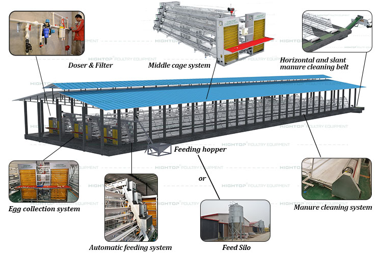 Poultry Farming Equipment Market Size is expected to surpass US$ 6.7 Bn through 2034 || TMR Report