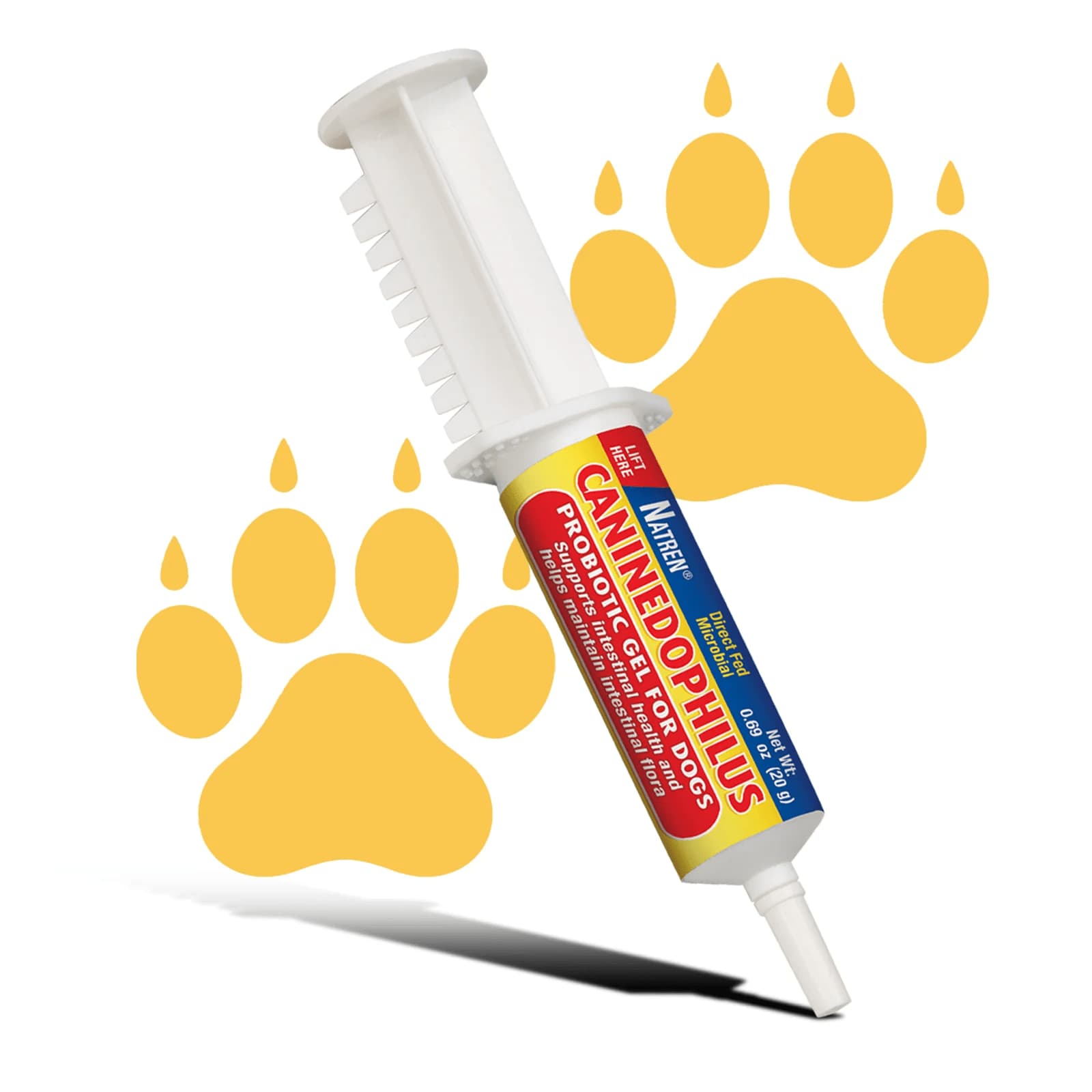 How Probiotics Benefit Your Pet’s Digestion and Immunity