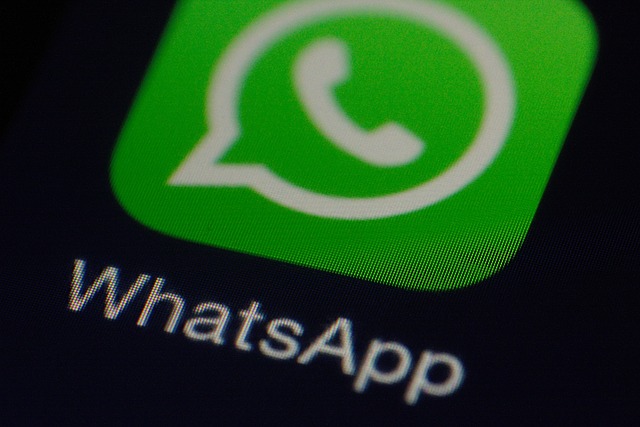 LogicalShout WhatsApp Updates – Latest Features & News