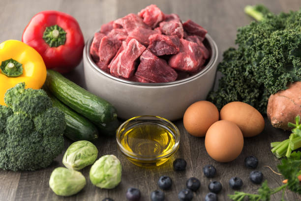 BASF SE and Its Impact on the Italy Pet Food Ingredients Market