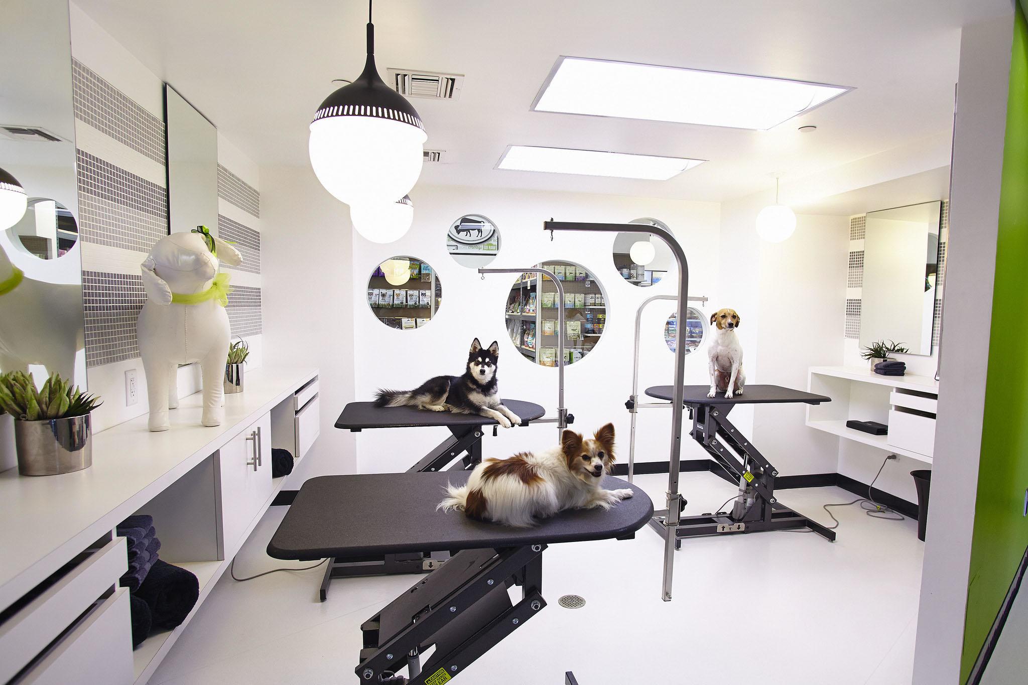 How to Prepare Your Pet for Their First Spa Day: Pet Spa Center