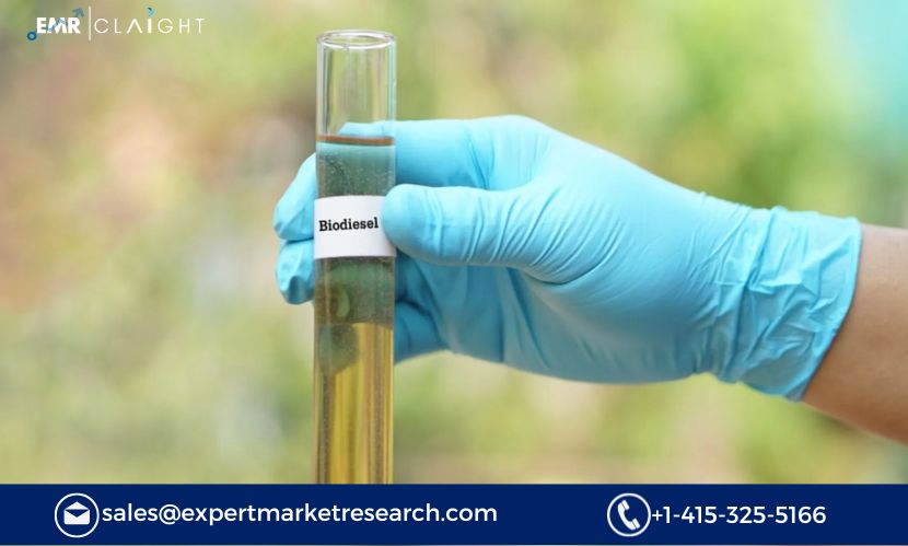 Biodiesel Market Outlook 2025: Supply, Demand and Technological Shifts