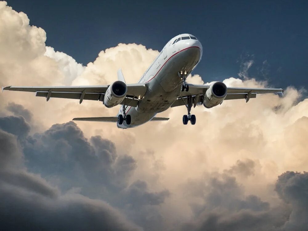 What are the Ideas on Delta Airlines Print Tickets?