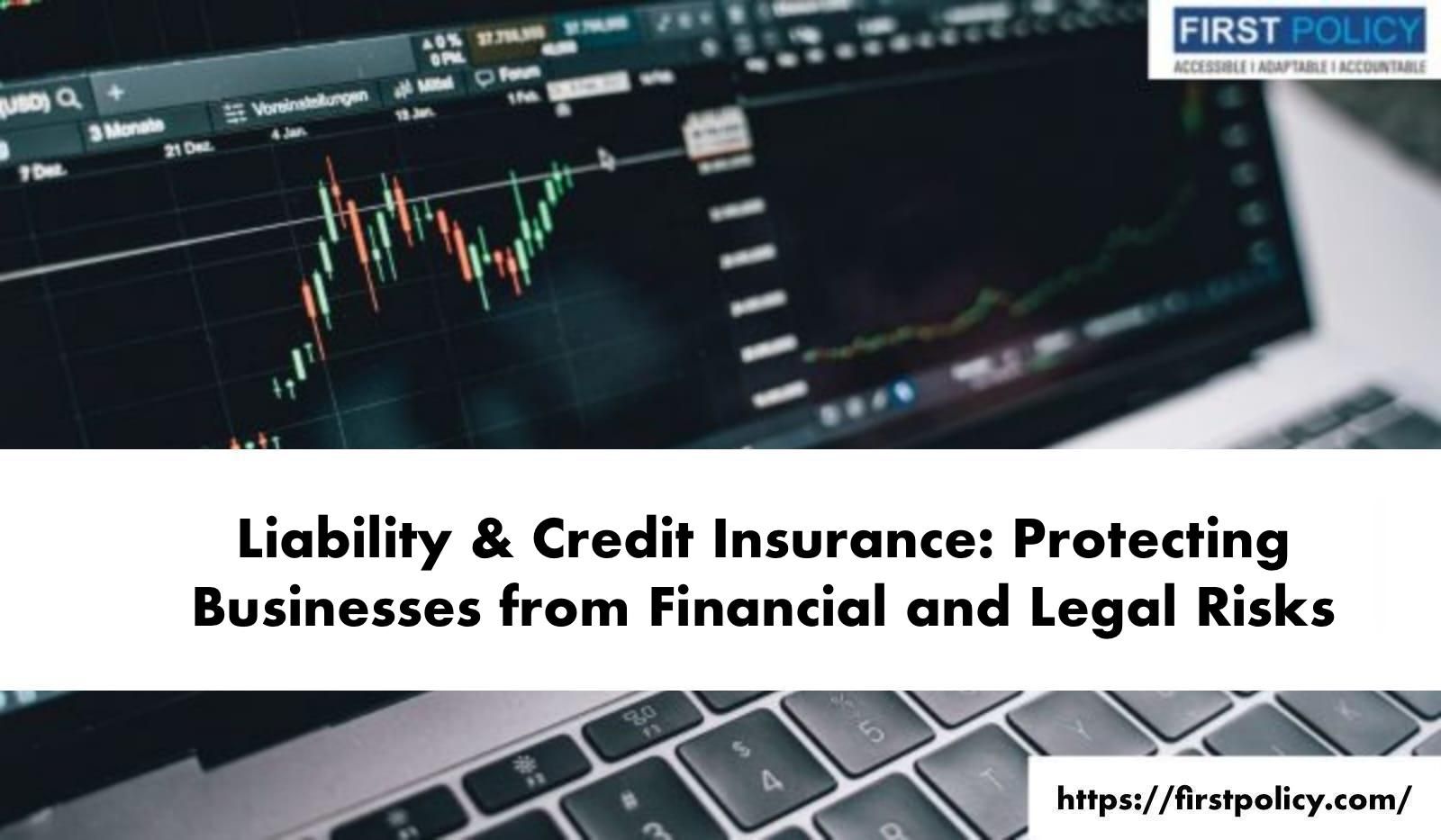 Liability & Credit Insurance: Protecting Businesses from Financial and Legal Risks