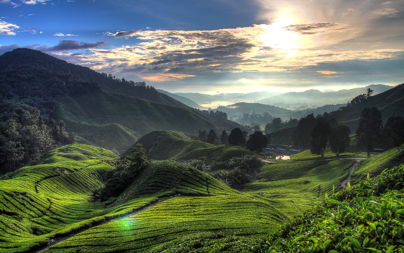 Top 5 Must-Visit Places in Malaysia for First-Time Travelers