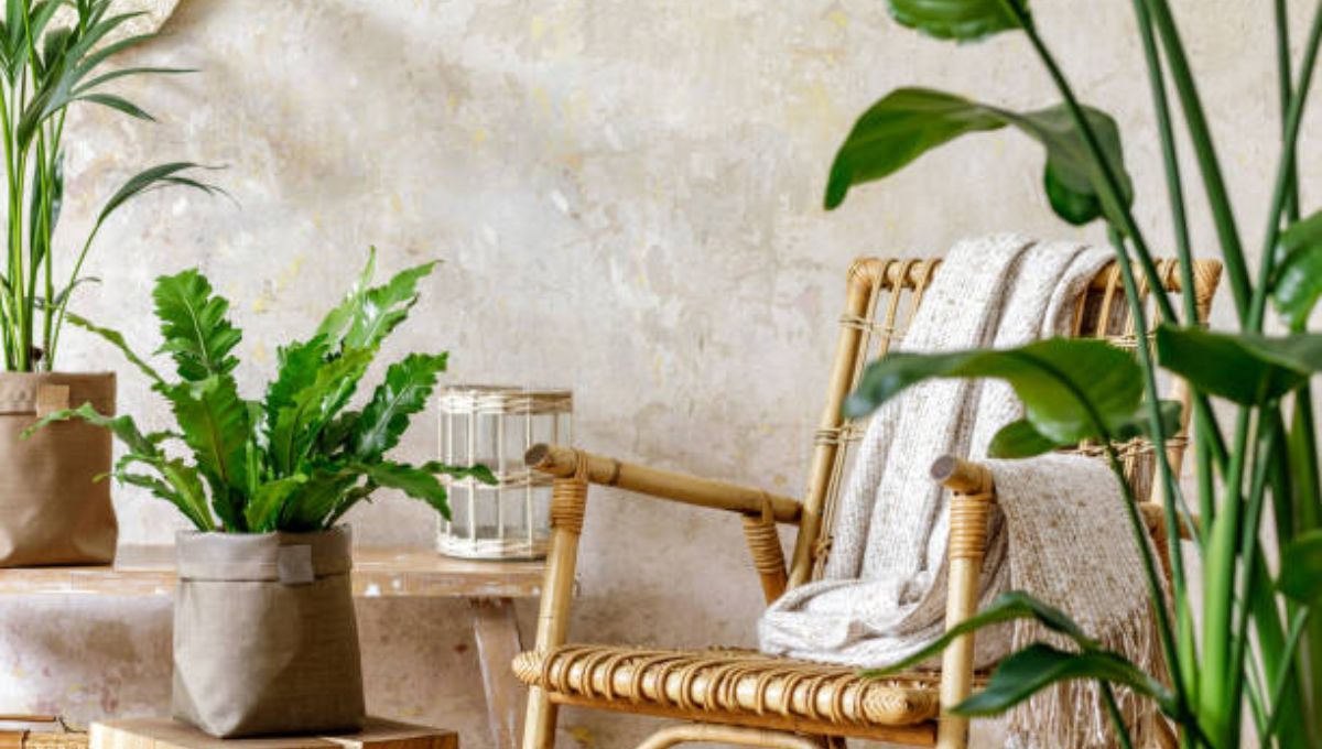 Top 5 Tropical Design Ideas for Your Home Decor