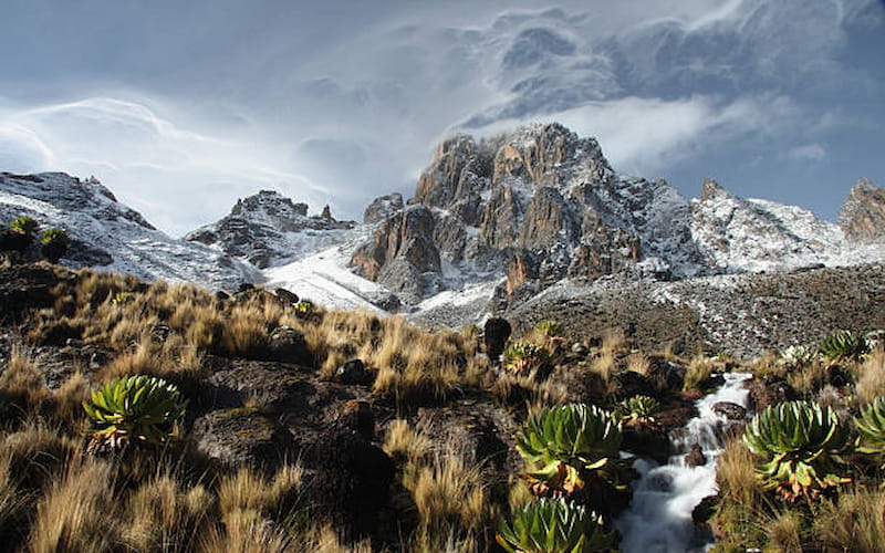 Top 7 Adventure Activities to Try in Kenya