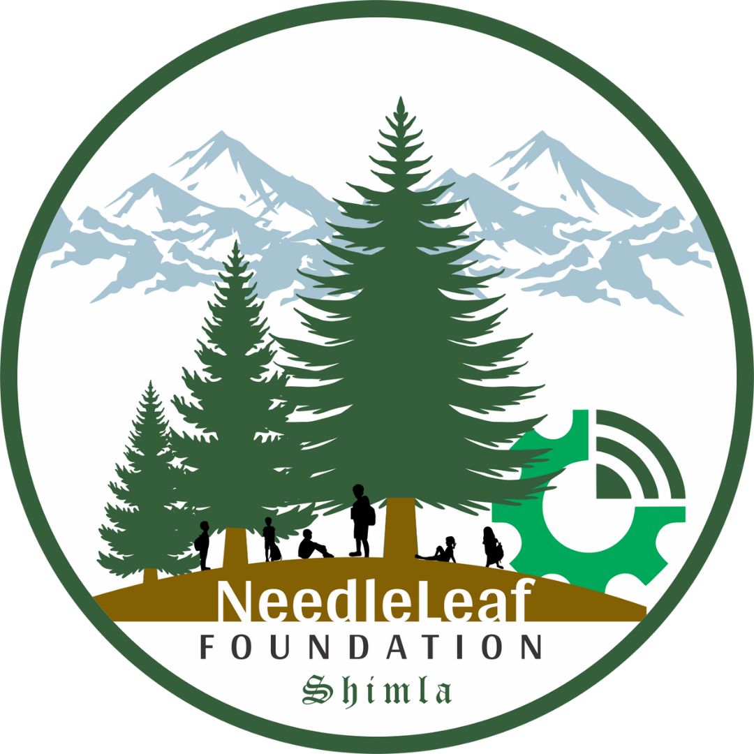 Needleleaf Foundation: AI-Powered Solutions for Environmental and Student Safety
