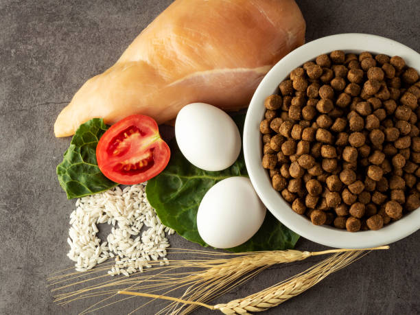 BHJ A/S: Driving Innovation and Sustainability in Finland Pet Food Ingredients Market