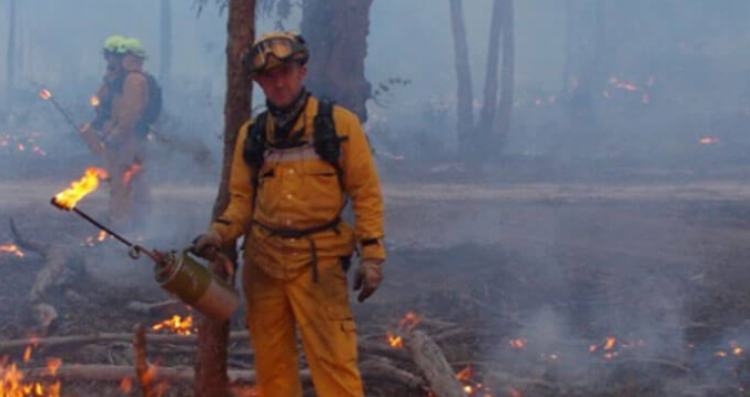 Beyond Fire and Emergency NZ: How Wildfire Management NZ is Leading the Way