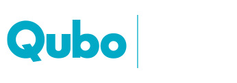 Dashcam Qubo World India