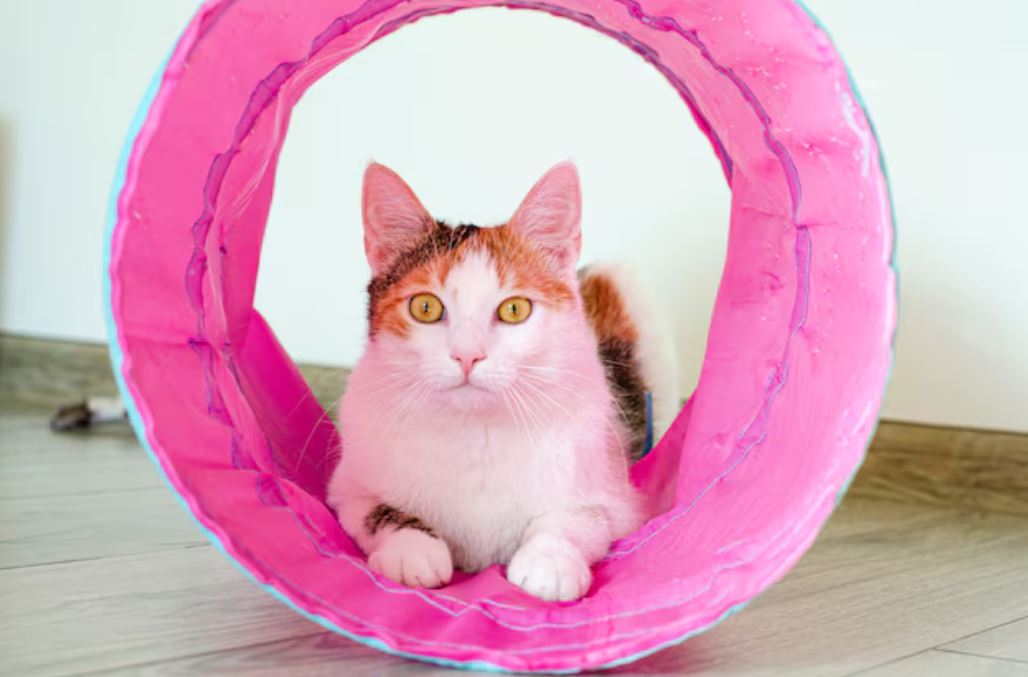 Durable Felt Tunnel Bed for Cats &ndash; Perfect for Play & Rest
