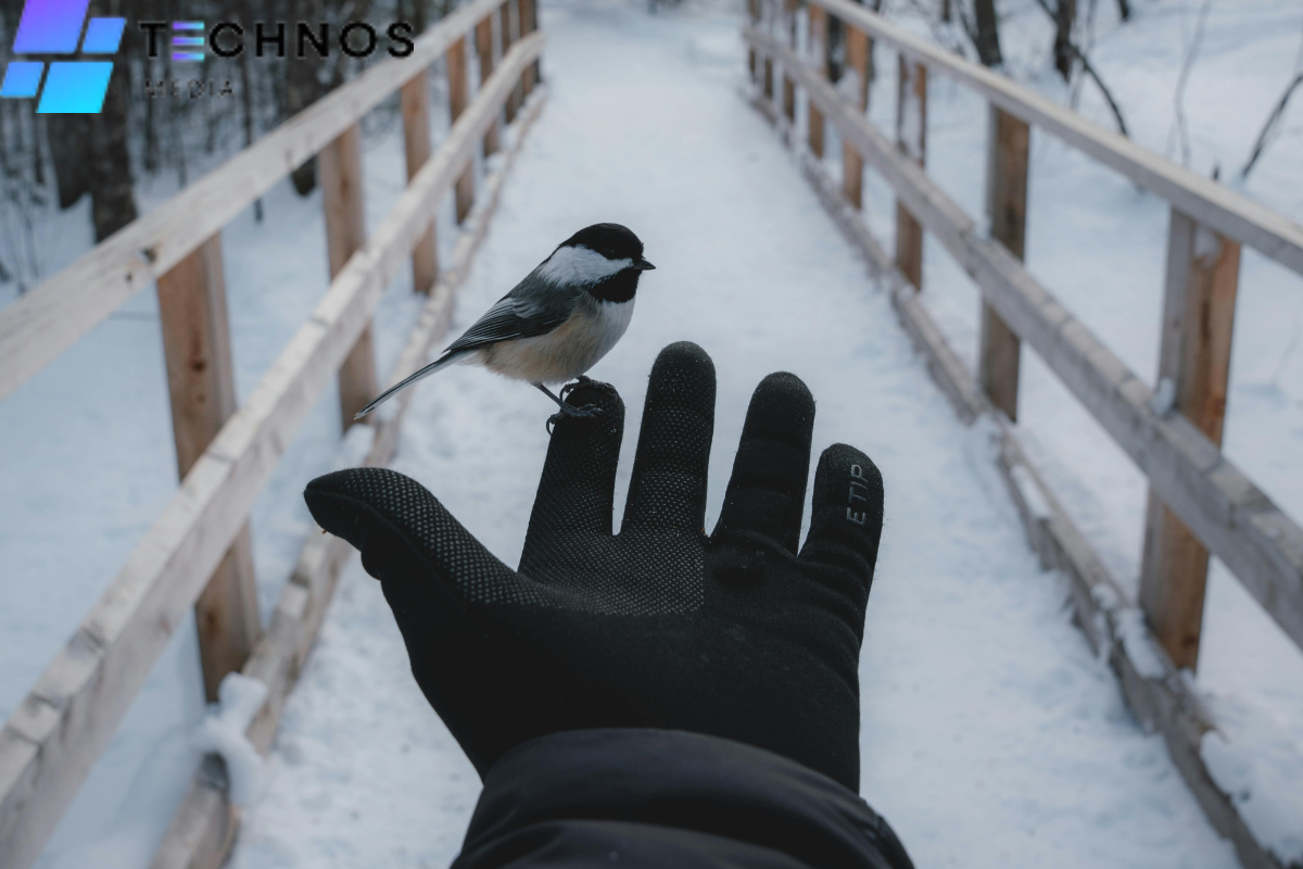 Do Glove Liners Work with Touchscreens? Best Winter Picks Reviewed