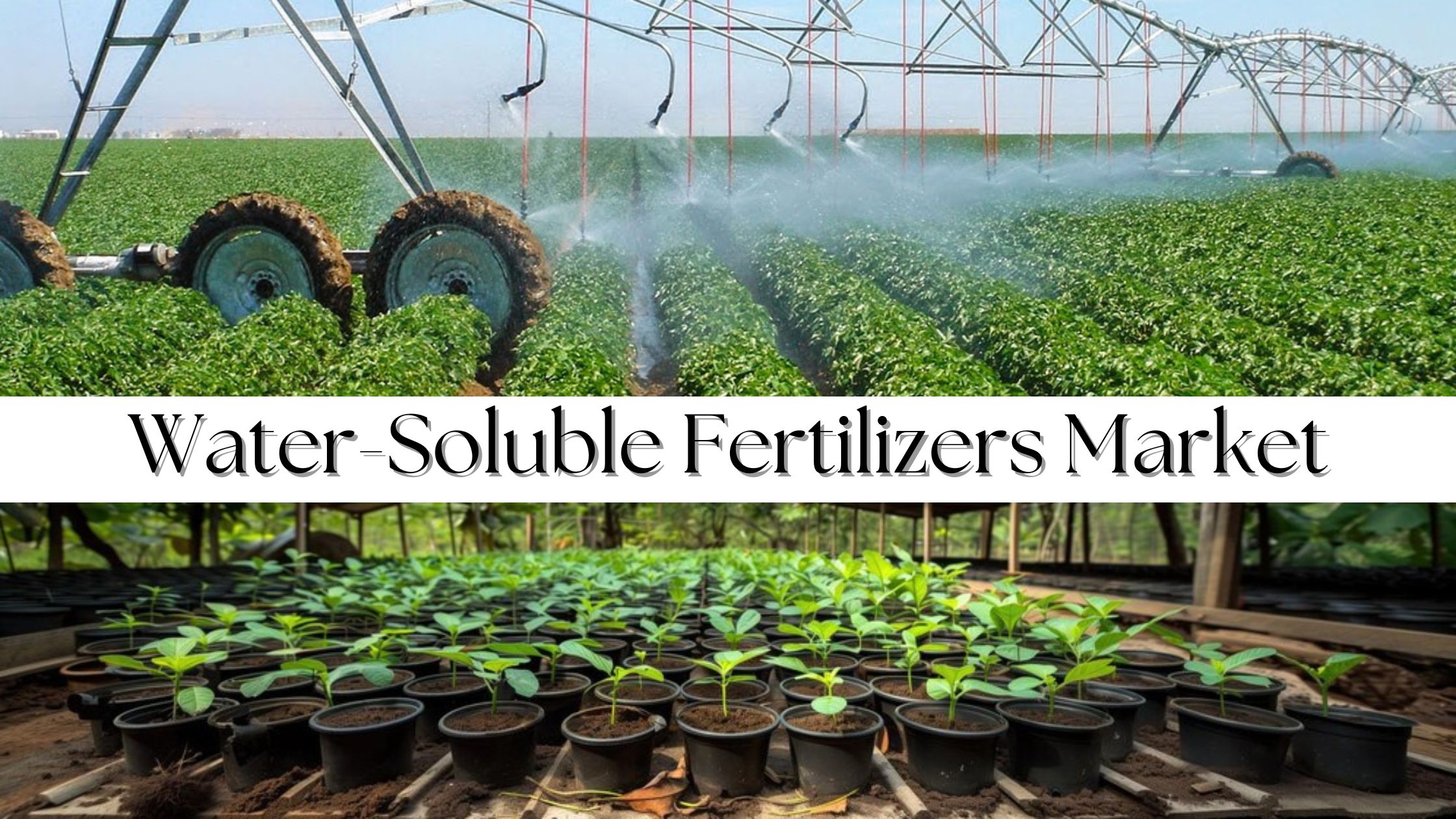 Water-Soluble Fertilizers Market Size, Share, Growth and Trends by 2032