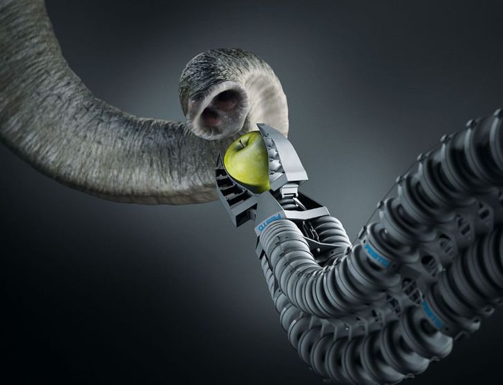 Nature’s Blueprint: The Expanding Biomimetics Market Landscape