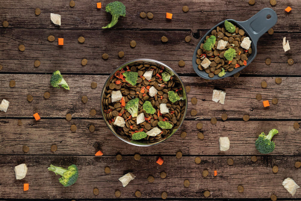 Koninklijke DSM N.V. and Its Strategy in Japan Pet Food Ingredients Market