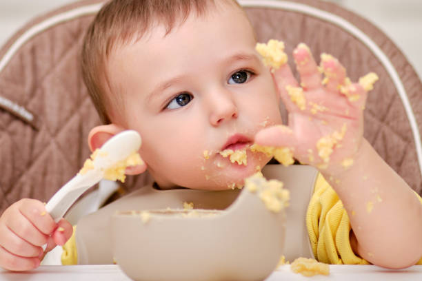 Baby Food Market Report 2025: Industry Growth Due to Rising Working Women Professionals, Trending Plant-Based & Clean-Label Foods, etc.