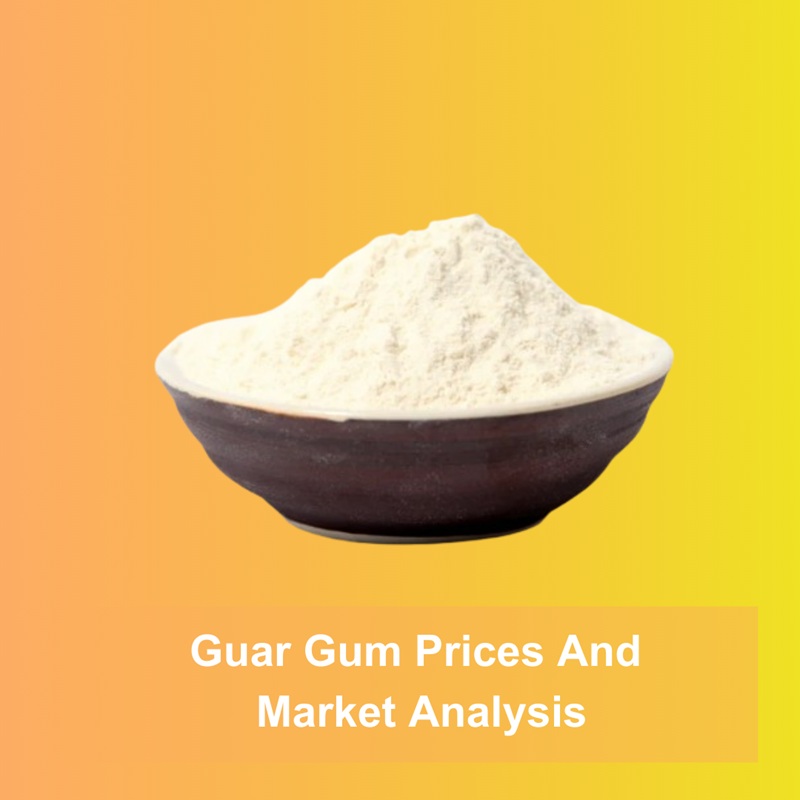 Guar Gum Price Outlook in 2025: Understanding the Key Drivers