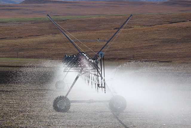 UAE Micro Irrigation Market Size & Share 2025: Growth, Trends, and Future Outlook