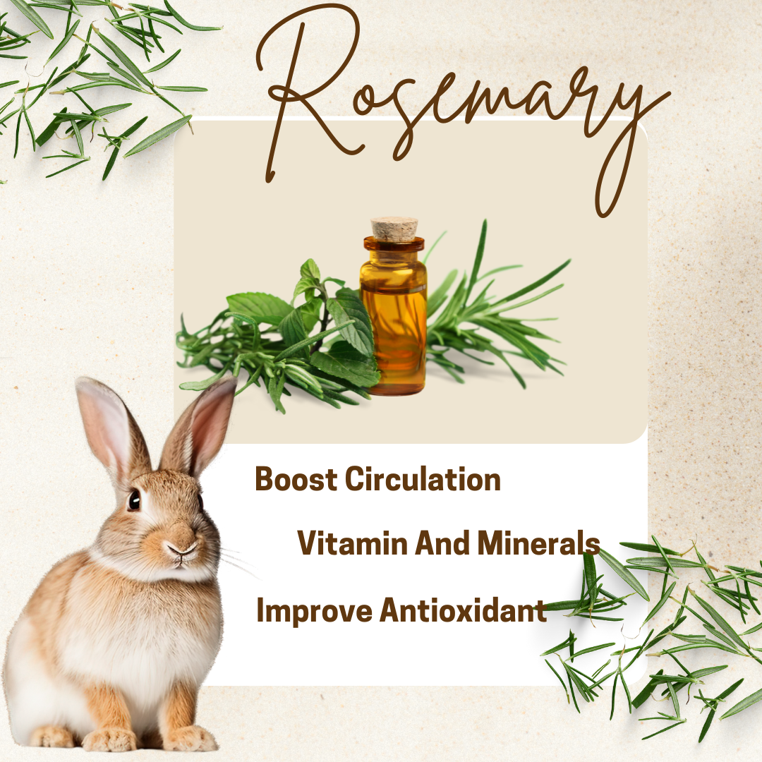 Rosemary Leaves Good For Rabbit? The Comprehensive Guide