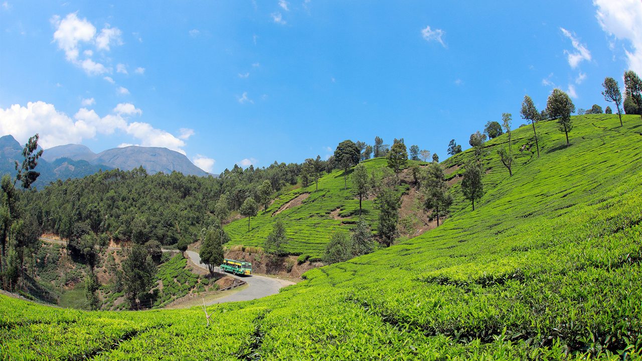 Discover the Enchanting Beauty of Marayoor: A Hidden Gem in Kerala