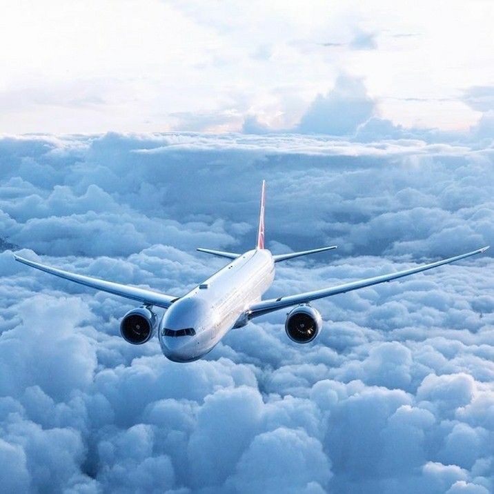 Volaris BJX Terminal +1-888-839-0502