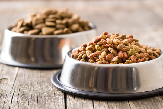 Koninklijke DSM N.V and its Impact on the Netherlands Pet Food Ingredients Market