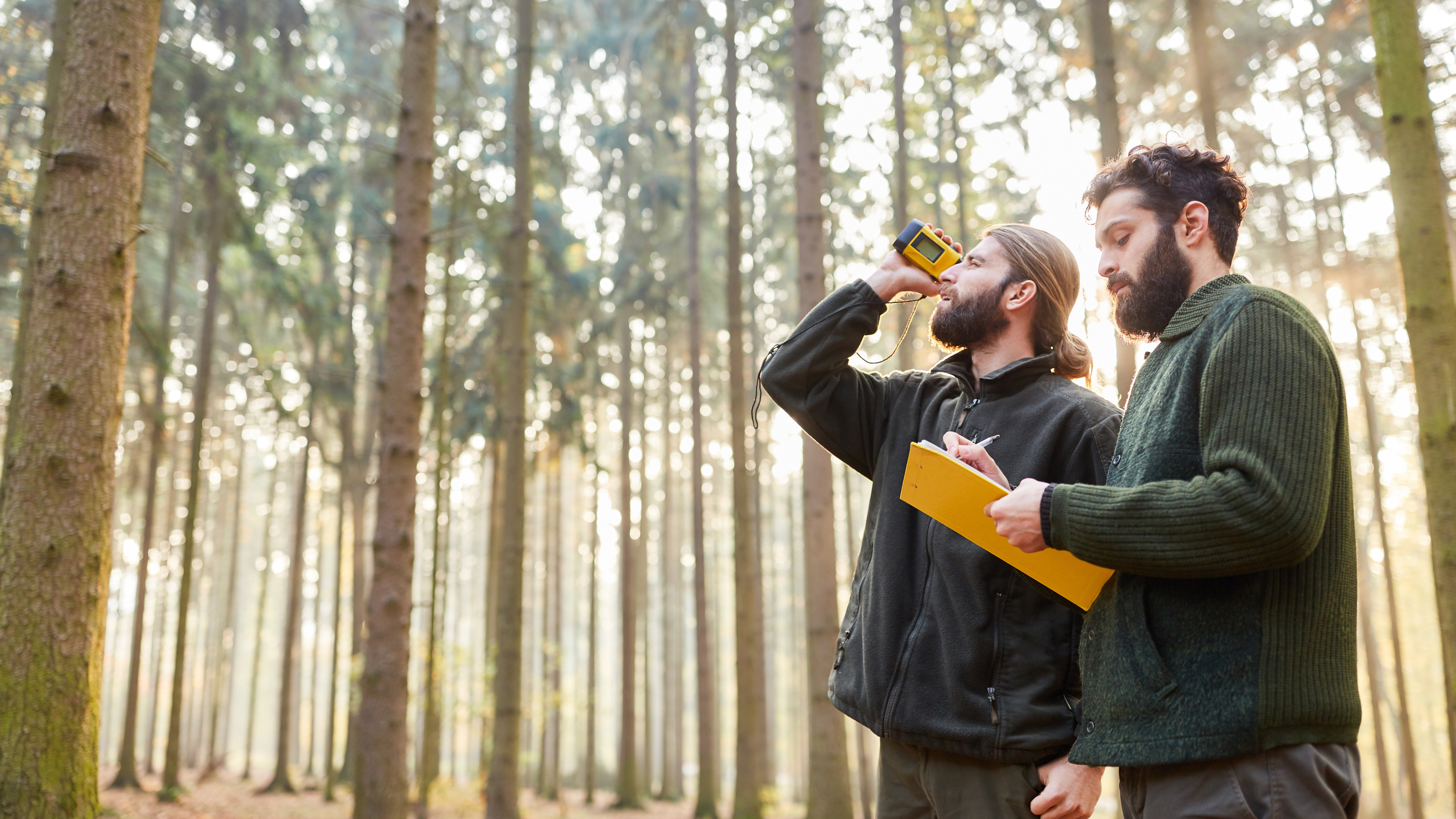 How Arboricultural Consultancy Benefits Landowners