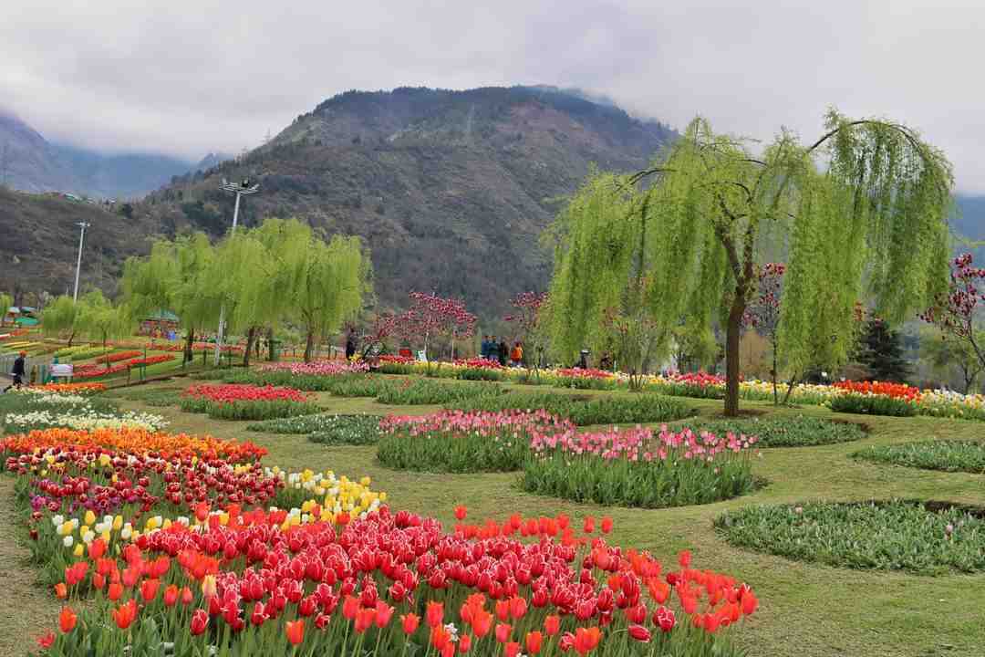 Srinagar to Gurez Valley Itinerary: A Complete Travel Guide