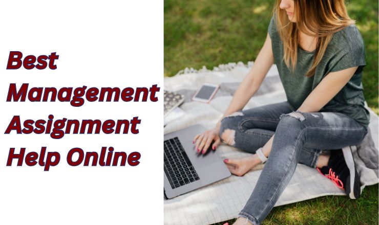 Best Management Assignment Help Online