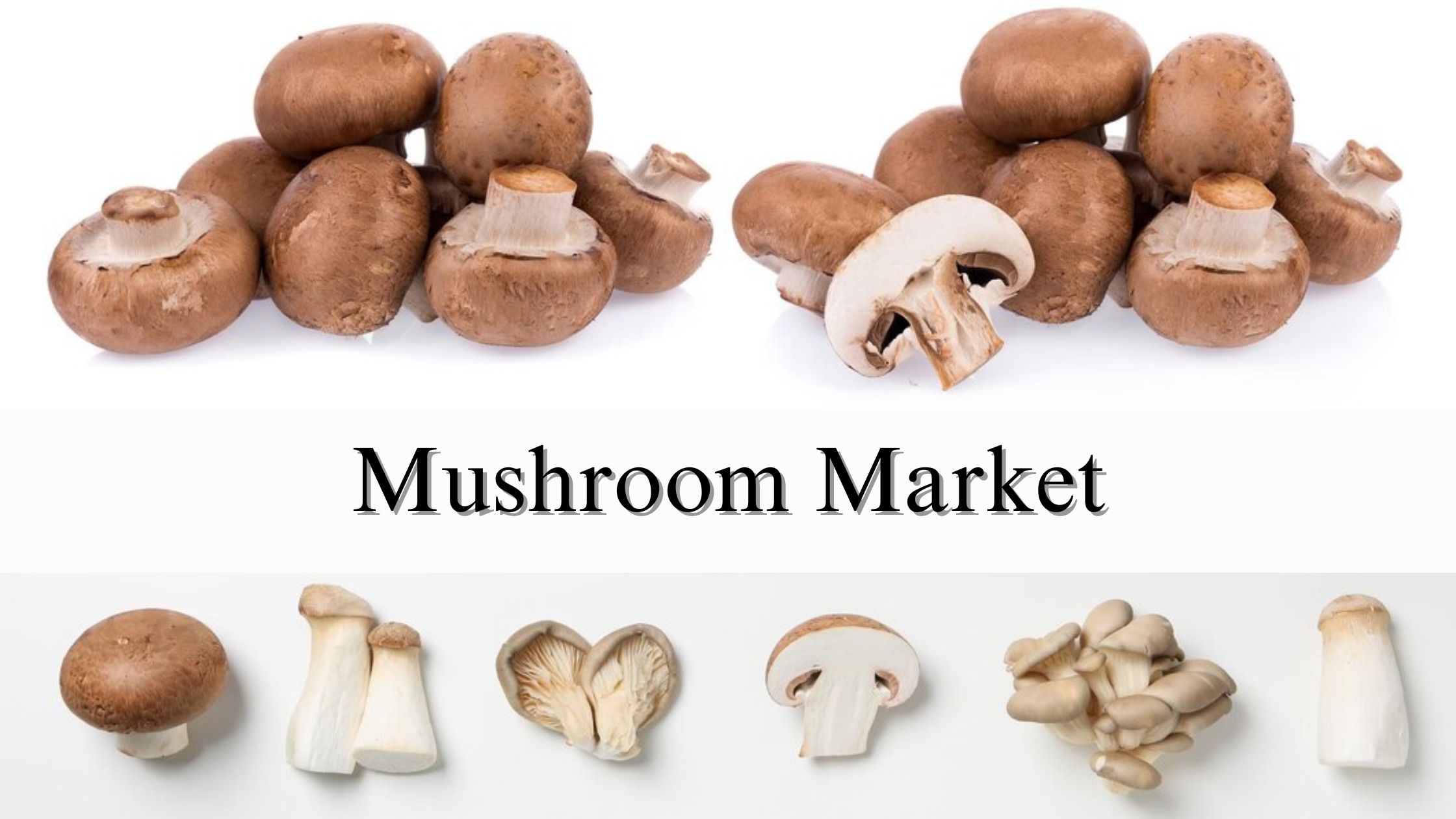 Mushroom Market Size, Share, Growth and Forecast Through 2032
