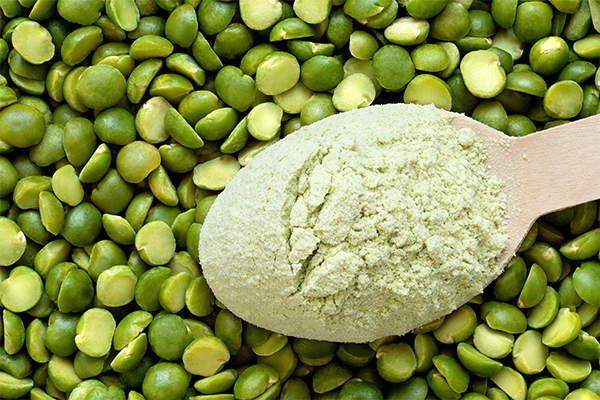 United States Pea Protein Market Size, Share, Growth and Forecast 2025-2033