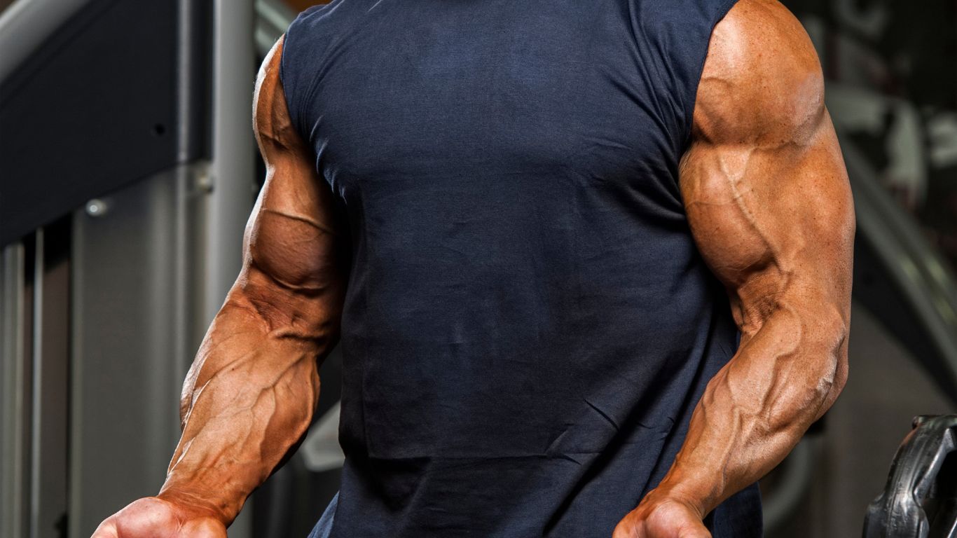 The Power of Ibutamoren (MK-677): Build Muscle, Boost Performance