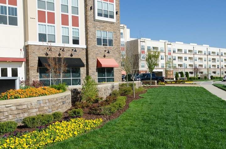 Choose the Best Commercial Lawn Care & Landscaping Services Near You